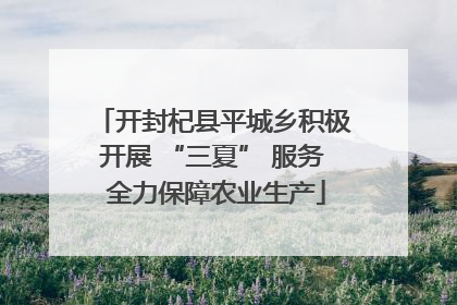 开封杞县平城乡积极开展 “三夏” 服务 全力保障农业生产