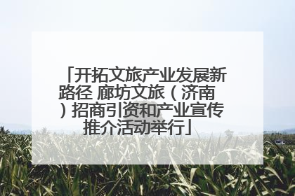 开拓文旅产业发展新路径 廊坊文旅（济南）招商引资和产业宣传推介活动举行