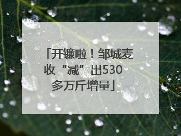 开镰啦！邹城麦收“减”出530多万斤增量