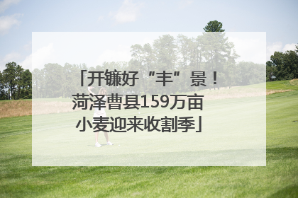 开镰好“丰”景！菏泽曹县159万亩小麦迎来收割季