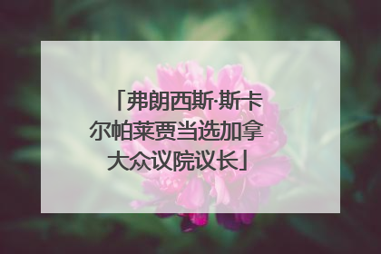 弗朗西斯·斯卡尔帕莱贾当选加拿大众议院议长