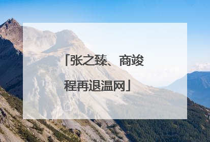 张之臻、商竣程再退温网
