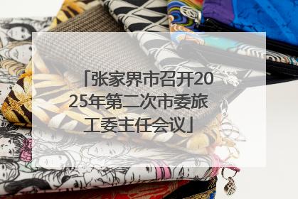 张家界市召开2025年第二次市委旅工委主任会议