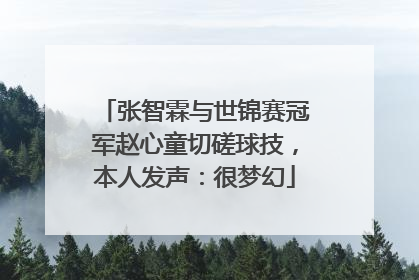 张智霖与世锦赛冠军赵心童切磋球技，本人发声：很梦幻