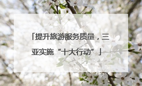 提升旅游服务质量，三亚实施“十大行动”