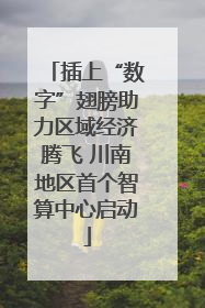插上“数字”翅膀助力区域经济腾飞 川南地区首个智算中心启动