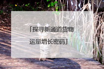 探寻新通道货物运量增长密码