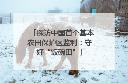 探访中国首个基本农田保护区监利：守好“饭碗田”