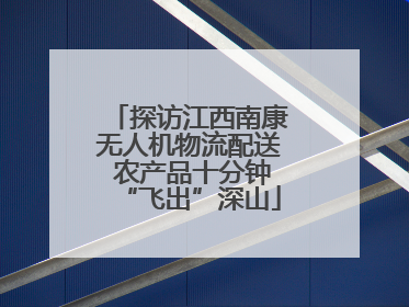 探访江西南康无人机物流配送 农产品十分钟“飞出”深山