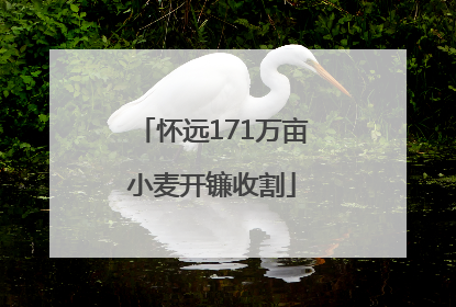 怀远171万亩小麦开镰收割