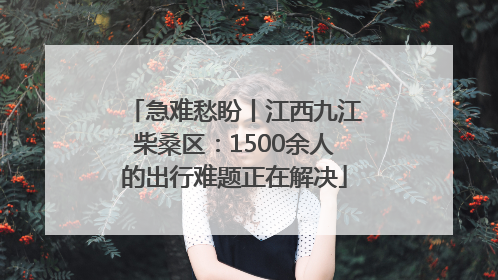 急难愁盼丨江西九江柴桑区：1500余人的出行难题正在解决