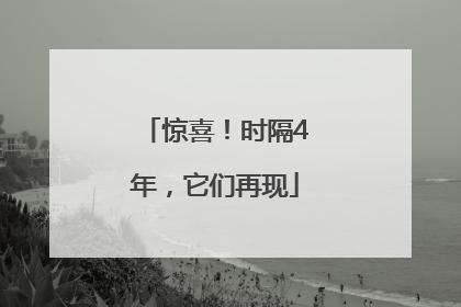 惊喜！时隔4年，它们再现
