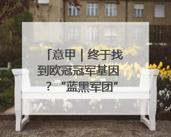 意甲｜终于找到欧冠冠军基因？“蓝黑军团”聘请国米名宿齐沃执教
