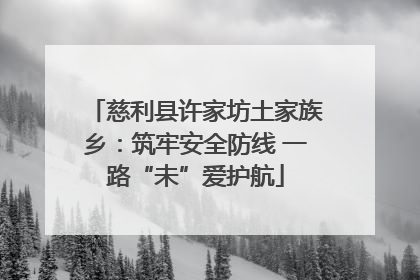 慈利县许家坊土家族乡：筑牢安全防线 一路“未”爱护航