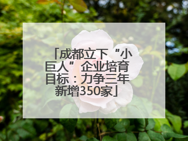 成都立下“小巨人”企业培育目标：力争三年新增350家