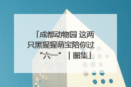 成都动物园 这两只黑猩猩萌宝陪你过“六一”｜图集
