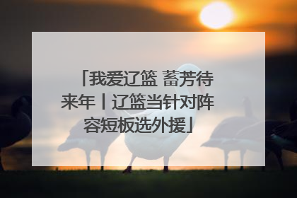 我爱辽篮 蓄芳待来年丨辽篮当针对阵容短板选外援