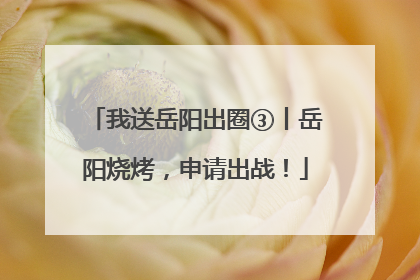 我送岳阳出圈③丨岳阳烧烤，申请出战！
