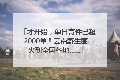 才开始，单日寄件已超2000单！云南野生菌火到全国各地……