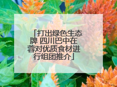 打出绿色生态牌 四川巴中在蓉对优质食材进行组团推介