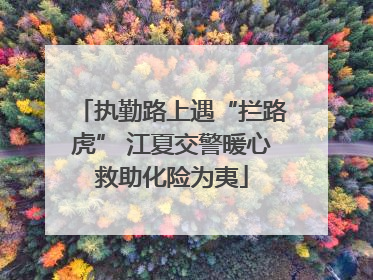 执勤路上遇“拦路虎” 江夏交警暖心救助化险为夷