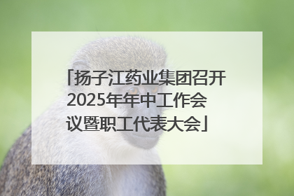 扬子江药业集团召开2025年年中工作会议暨职工代表大会