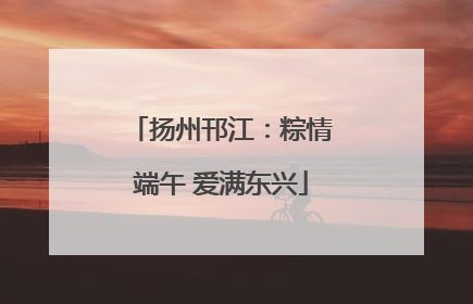 扬州邗江：粽情端午 爱满东兴