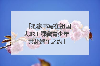 把家书写在祖国大地！鄂藏青少年共赴端午之约