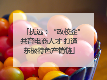 抚远：“政校企”共育电商人才 打通东极特色产销链