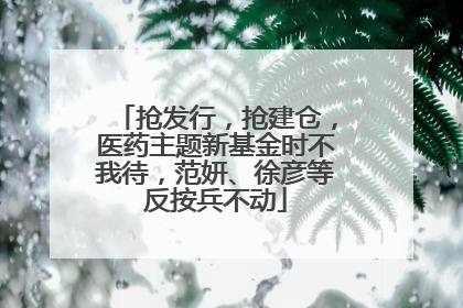抢发行，抢建仓，医药主题新基金时不我待，范妍、徐彦等反按兵不动