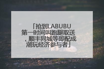 抢到LABUBU第一时间叫跑腿取送，顺丰同城等即配成潮玩经济参与者