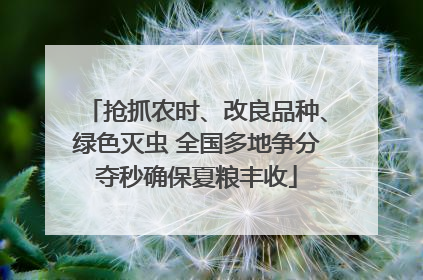 抢抓农时、改良品种、绿色灭虫 全国多地争分夺秒确保夏粮丰收