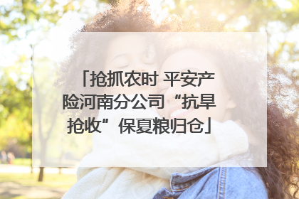 抢抓农时 平安产险河南分公司“抗旱抢收”保夏粮归仓