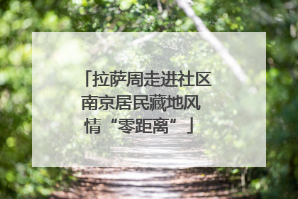 拉萨周走进社区 南京居民藏地风情“零距离”