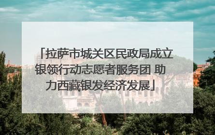 拉萨市城关区民政局成立银领行动志愿者服务团 助力西藏银发经济发展