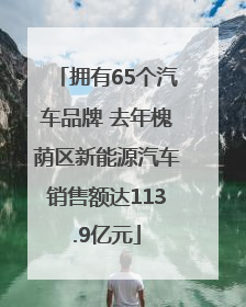 拥有65个汽车品牌 去年槐荫区新能源汽车销售额达113.9亿元