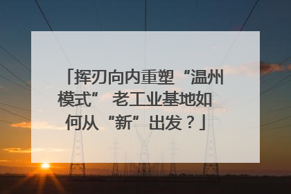 挥刃向内重塑“温州模式” 老工业基地如何从“新”出发？