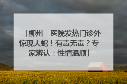 柳州一医院发热门诊外惊现大蛇！有毒无毒？专家辨认：性情温顺
