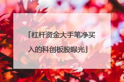 杠杆资金大手笔净买入的科创板股曝光
