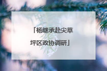 杨继承赴尖草坪区政协调研