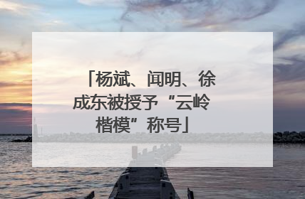 杨斌、闻明、徐成东被授予“云岭楷模”称号