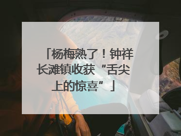 杨梅熟了！钟祥长滩镇收获“舌尖上的惊喜”