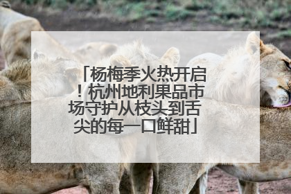 杨梅季火热开启！杭州地利果品市场守护从枝头到舌尖的每一口鲜甜