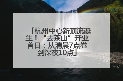 杭州中心新顶流诞生！“去茶山”开业首日：从清晨7点卷到深夜10点