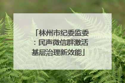 林州市纪委监委：民声微信群激活基层治理新效能