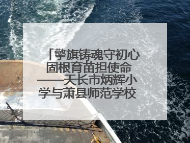 擎旗铸魂守初心 固根育苗担使命——天长市炳辉小学与萧县师范学校附属小学结对共建活动纪实
