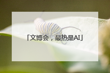 文博会，最热是AI