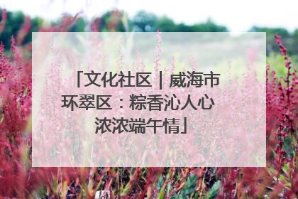 文化社区｜威海市环翠区：粽香沁人心 浓浓端午情
