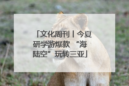 文化周刊丨今夏研学游爆款 “海陆空”玩转三亚