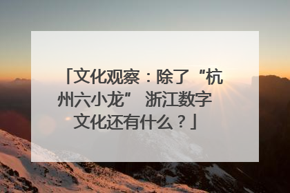 文化观察：除了“杭州六小龙” 浙江数字文化还有什么？